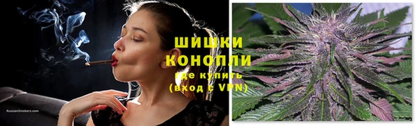 таблы Новозыбков
