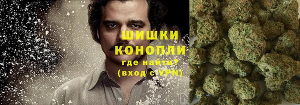 таблы Новозыбков