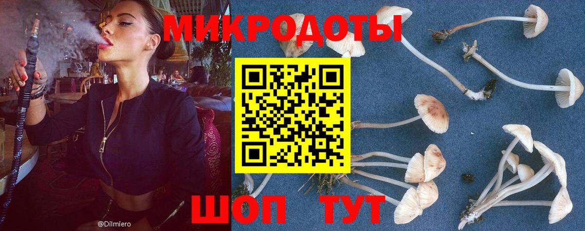 Псилоцибиновые грибы GOLDEN TEACHER Менделеевск