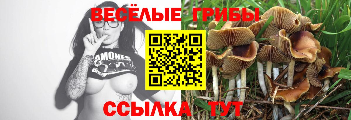 Менделеевск  Галлюциногенные грибы MAGIC MUSHROOMS  Псилоцибиновые грибы прущие грибы  Вход с VPN 