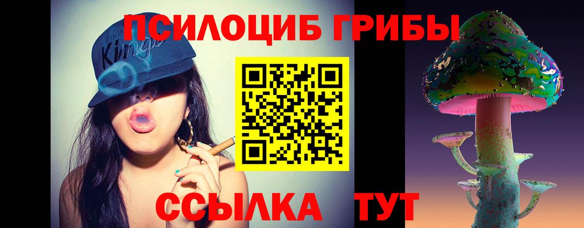 Галлюциногенные грибы MAGIC MUSHROOMS  Менделеевск  Галлюциногенные грибы MAGIC MUSHROOMS 